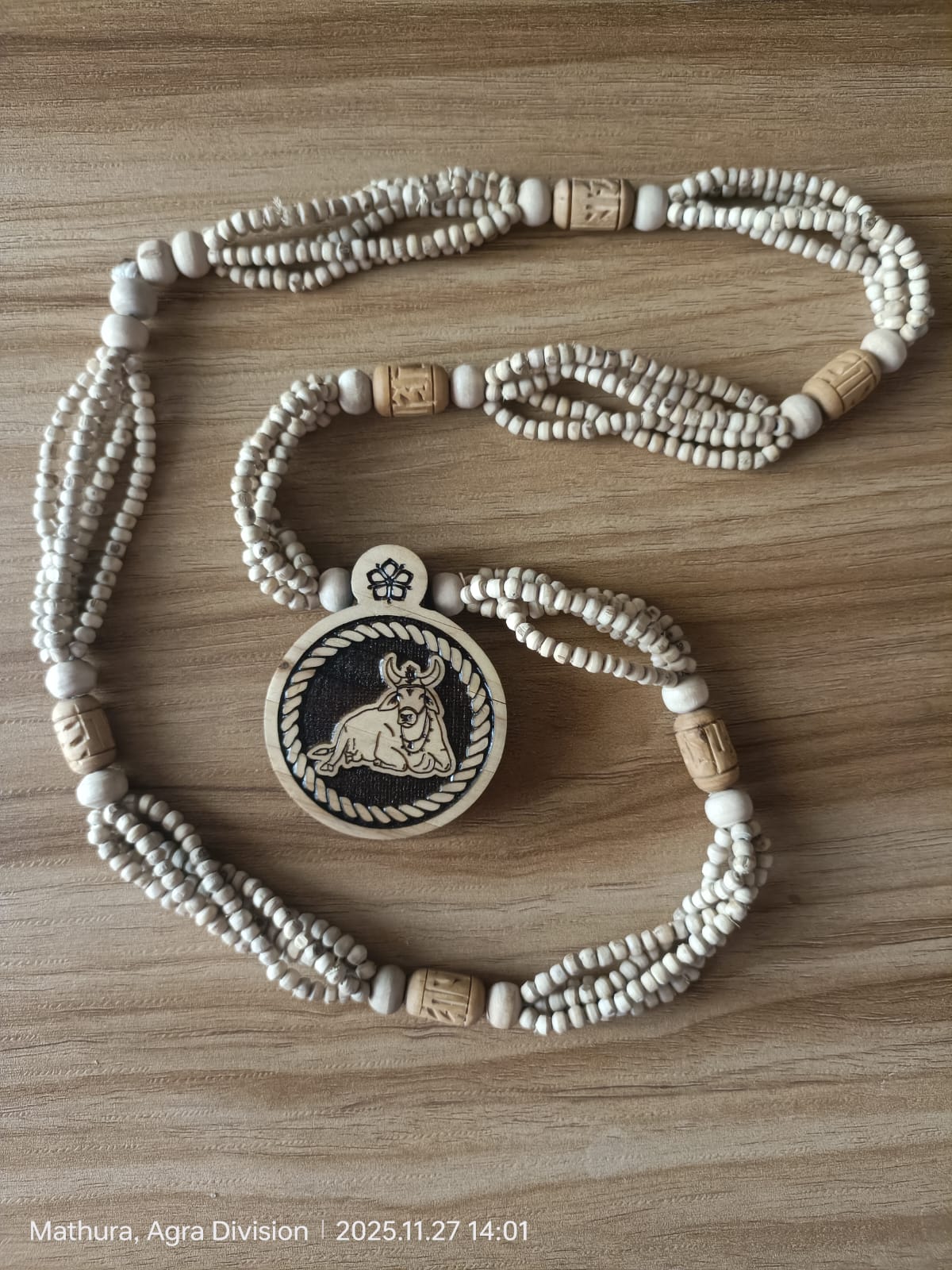 WhatsApp Image 2026-01-21 at 2.48.45 PM