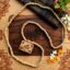 Shri Radha Naam Tulsi Kanthi Mala Bhaktamaal Vrindavan Handmade